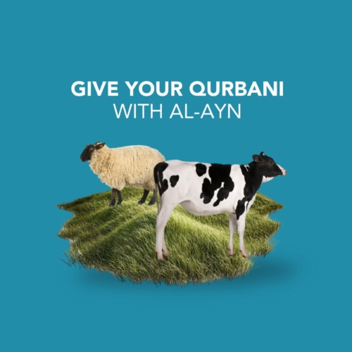 Qurbani: A Sacred Duty. A Lifeline for Orphaned Children.